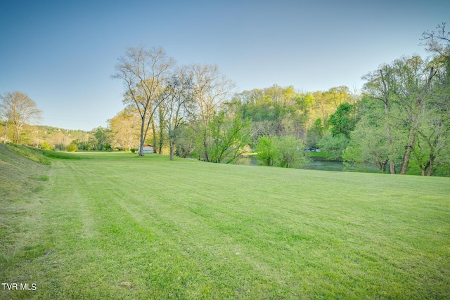 view of yard featuring a water view