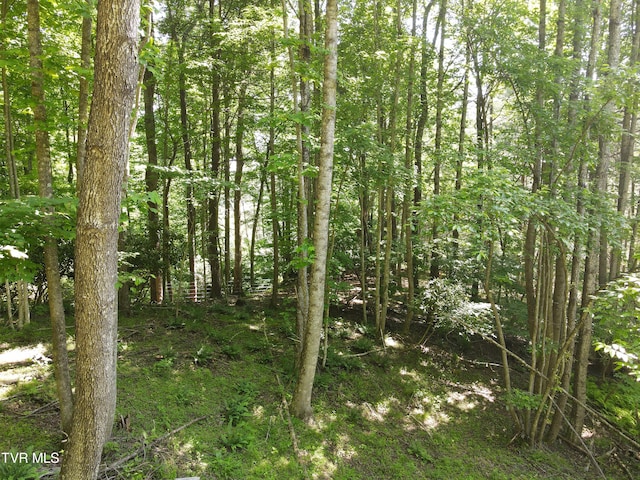 TBD Whispering Pines Rd, Johnson City TN, 37601 land for sale