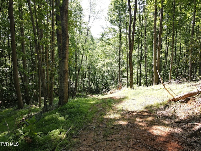 Listing photo 2 for TBD Whispering Pines Rd, Johnson City TN 37601