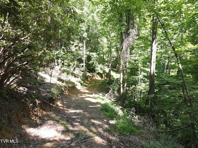 Listing photo 3 for TBD Whispering Pines Rd, Johnson City TN 37601