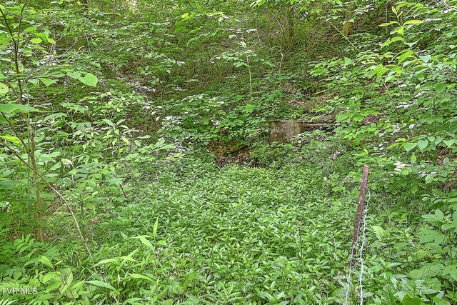 000 Goode Hollow Rd, Duffield, VA 24244