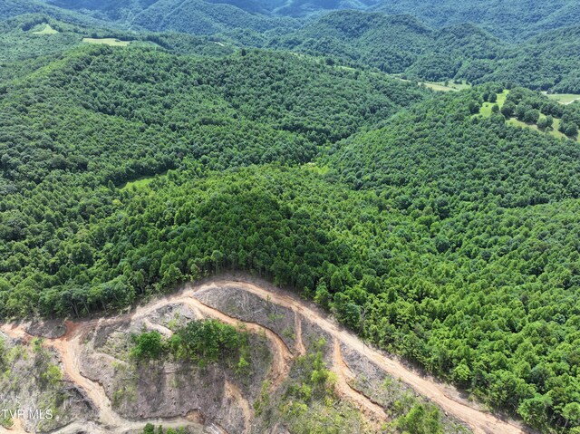 000 Goode Hollow Rd, Duffield, VA 24244