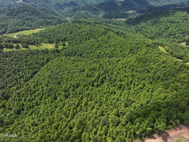 000 Goode Hollow Rd, Duffield, VA 24244