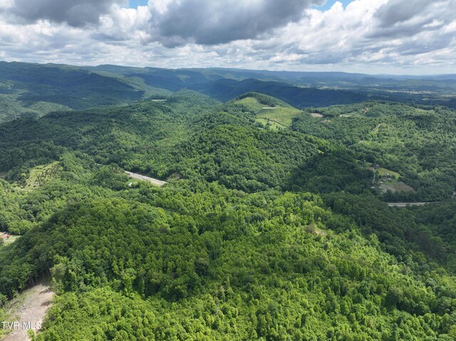 000 Goode Hollow Rd, Duffield, VA 24244