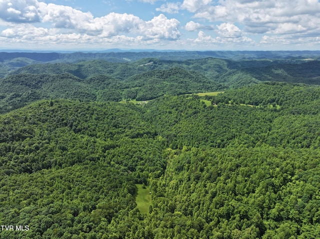 000 Goode Hollow Rd, Duffield, VA 24244