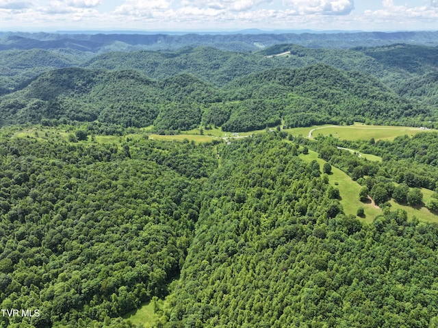 000 Goode Hollow Rd, Duffield, VA 24244