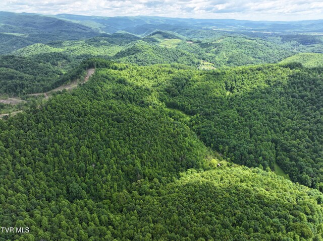 000 Goode Hollow Rd, Duffield, VA 24244