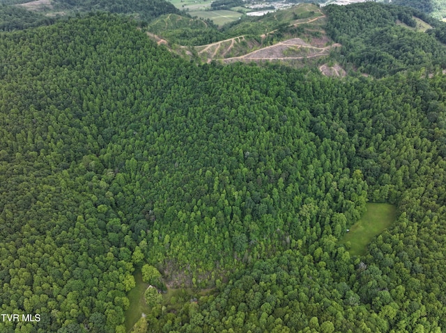 000 Goode Hollow Rd, Duffield, VA 24244