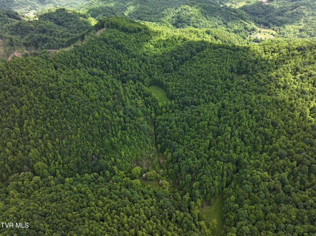 000 Goode Hollow Rd, Duffield, VA 24244