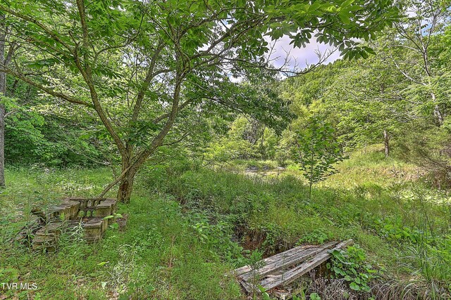 000 Goode Hollow Rd, Duffield, VA 24244