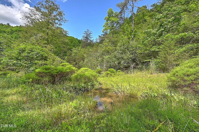 000 Goode Hollow Rd, Duffield, VA 24244