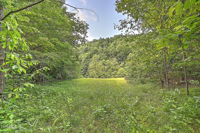 000 Goode Hollow Rd, Duffield, VA 24244