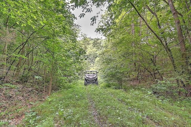 000 Goode Hollow Rd, Duffield, VA 24244