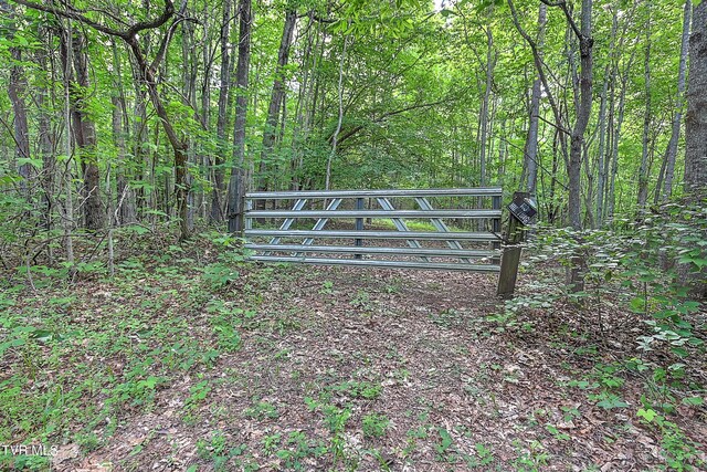 000 Goode Hollow Rd, Duffield, VA 24244