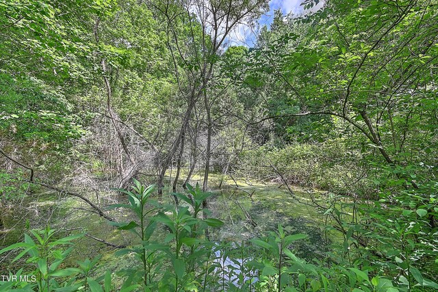 000 Goode Hollow Rd, Duffield, VA 24244