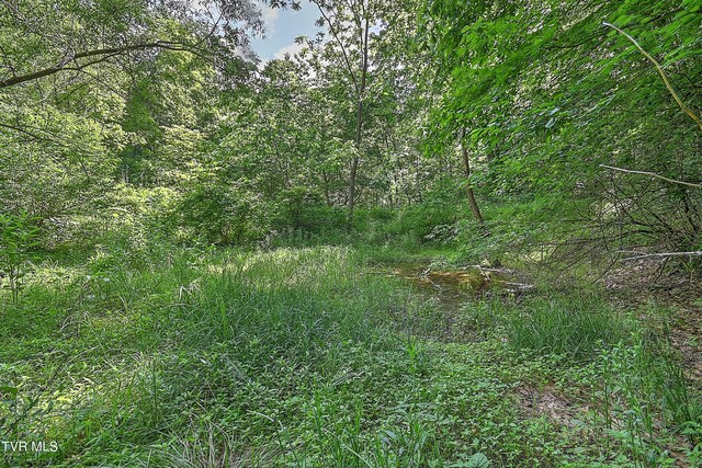 000 Goode Hollow Rd, Duffield, VA 24244