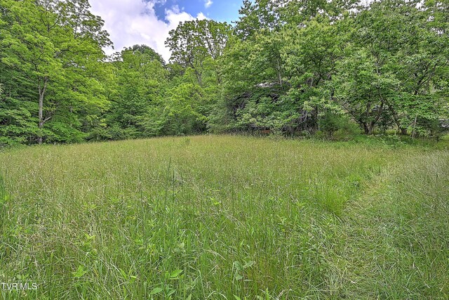000 Goode Hollow Rd, Duffield, VA 24244