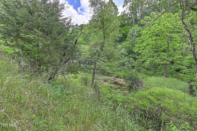 000 Goode Hollow Rd, Duffield, VA 24244