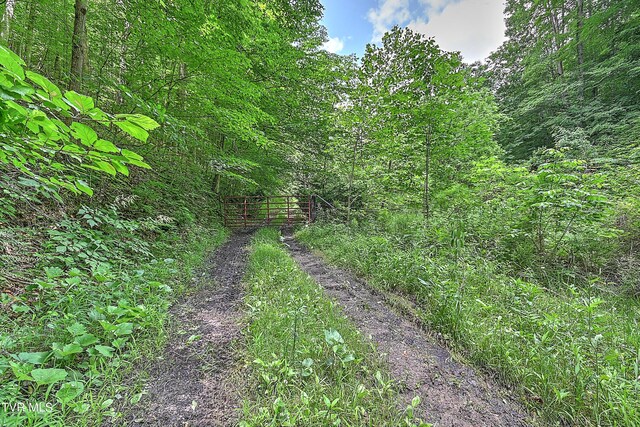 000 Goode Hollow Rd, Duffield, VA 24244