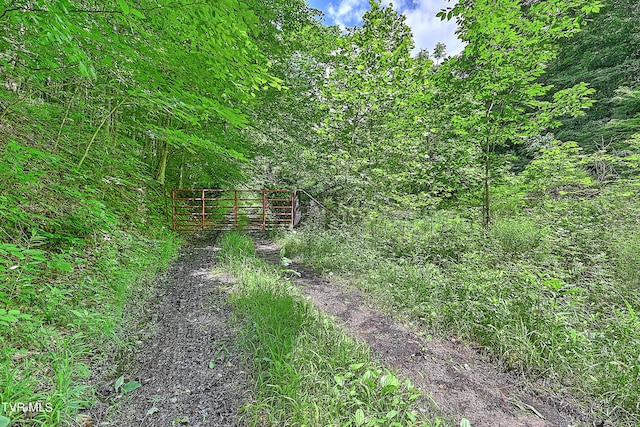 000 Goode Hollow Rd, Duffield, VA 24244