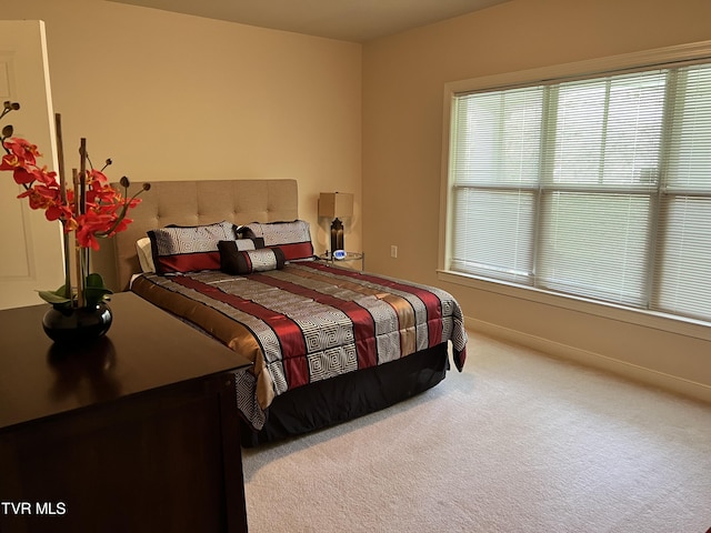 bedroom with carpet