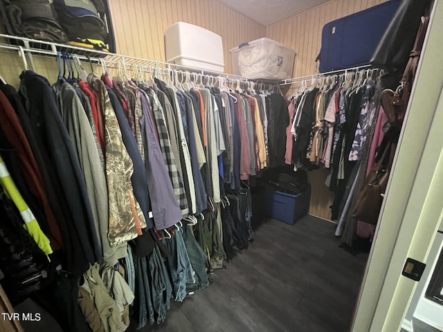 walk in closet with hardwood / wood-style flooring