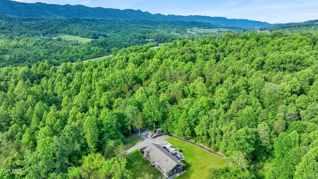 aerial view with a mountain view