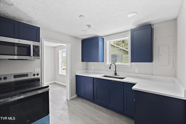 kitchen featuring sink, blue cabinetry, appliances with stainless steel finishes, plenty of natural light, and light wood-type flooring