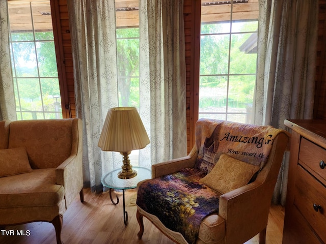 sitting room featuring a healthy amount of sunlight and wood-type flooring