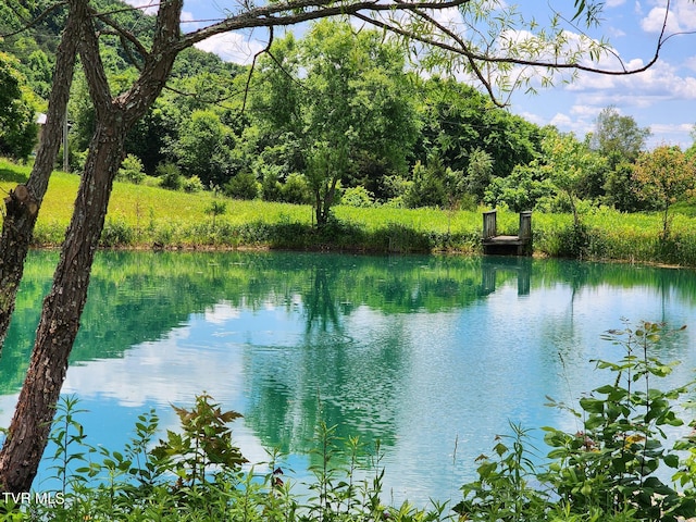 view of water feature