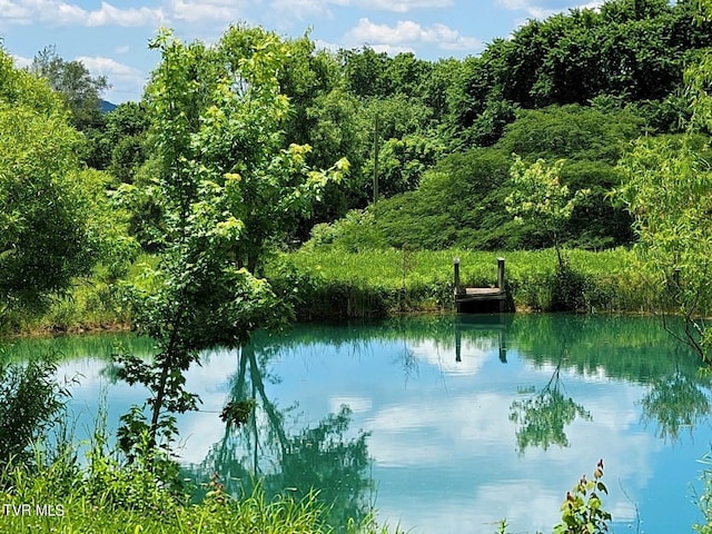 view of water feature