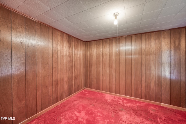 spare room featuring wood walls