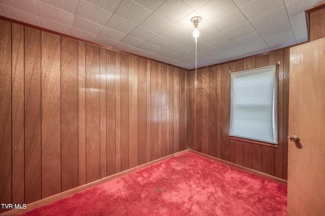 spare room featuring wood walls