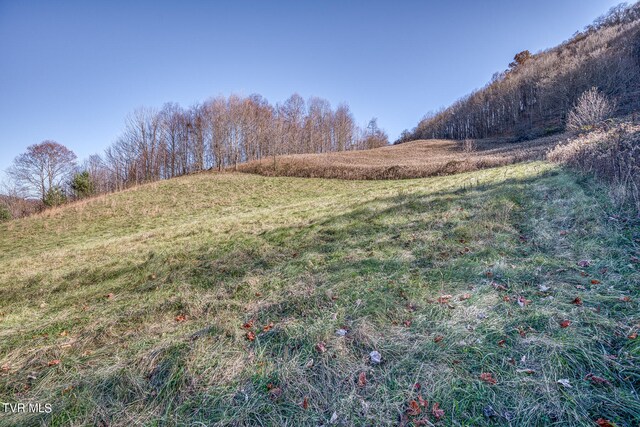 view of yard featuring a rural view