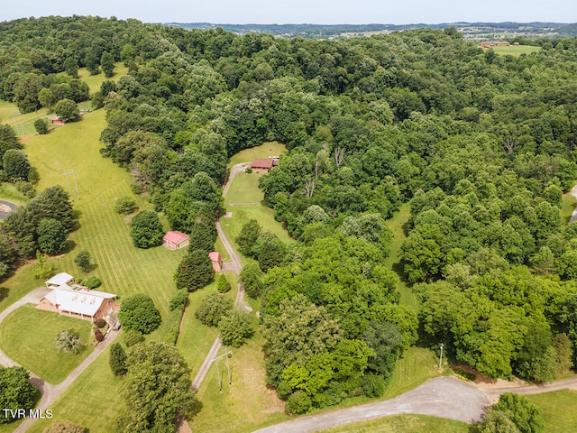 Tbd River Village Lane, Afton TN, 37616 land for sale