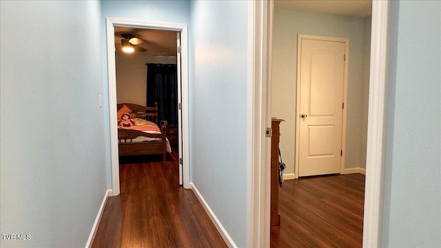 hall with dark hardwood / wood-style flooring