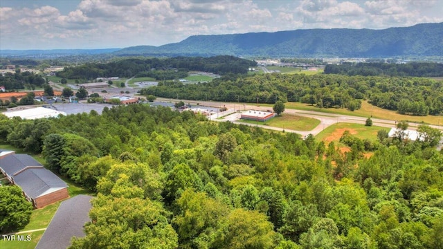 drone / aerial view featuring a mountain view