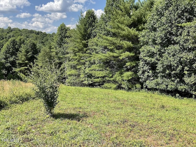 Listing photo 2 for LOT55 Laurel Way, Mountain City TN 37683