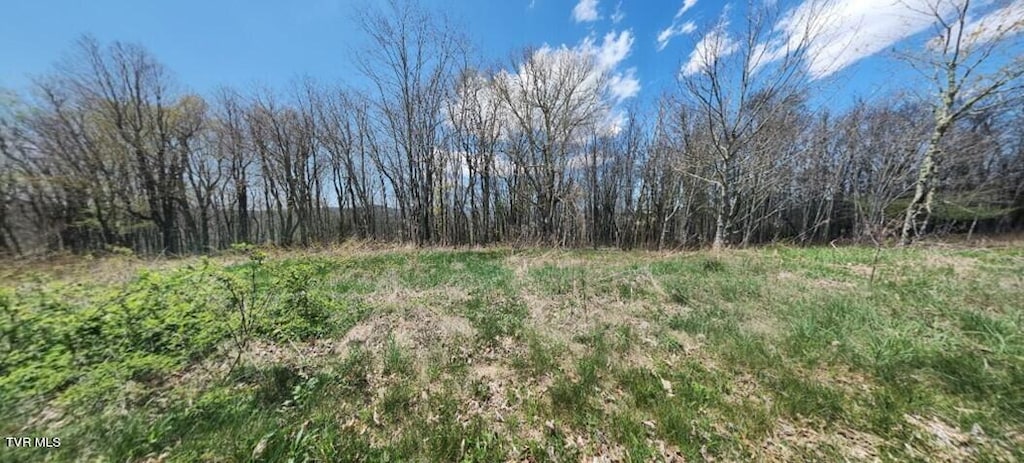 LOT4 Crestwood Cir, Newland, NC 28657 - photo 2