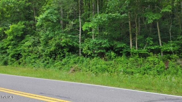 Listing photo 2 for TBD Roan Creek Rd, Butler TN 37640