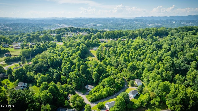 Listing photo 3 for LOT16 Morning Star Ct, Kingsport TN 37664