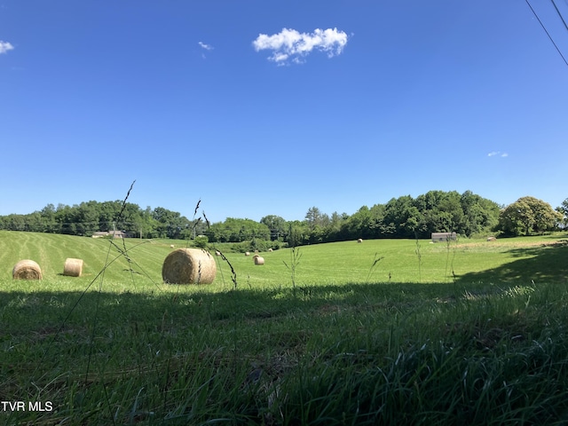 0 Armentrout Rd, Telford, TN 37690