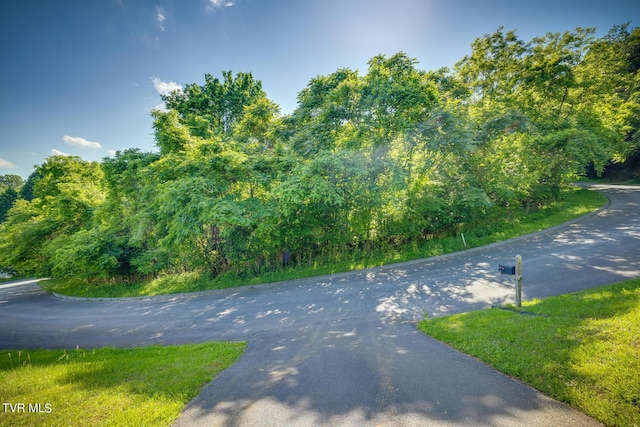 LOT20 Morning Star Dr, Kingsport TN, 37664 land for sale