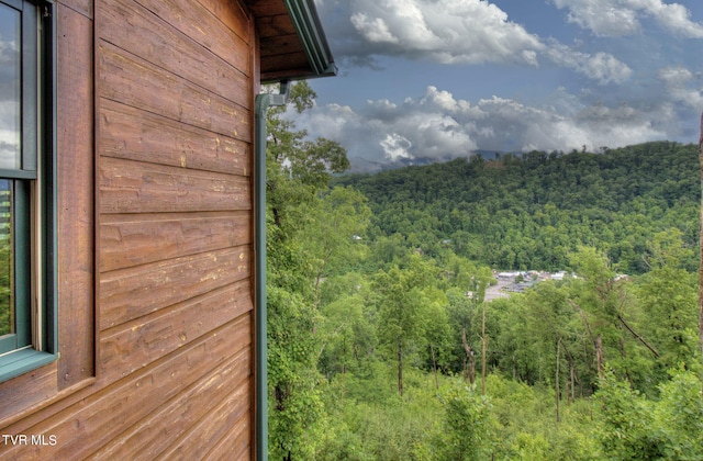 property view of mountains