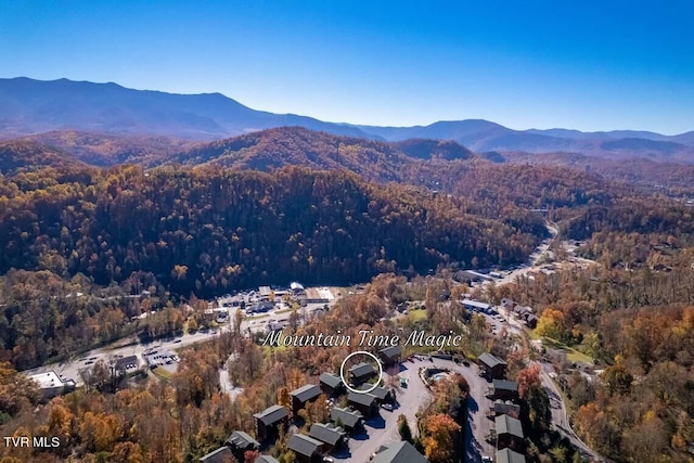 birds eye view of property with a mountain view