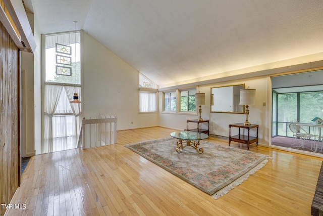 living room featuring wood-type flooring and vaulted ceiling