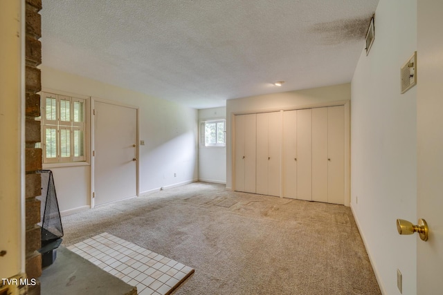 interior space featuring light colored carpet, a textured ceiling, and a closet