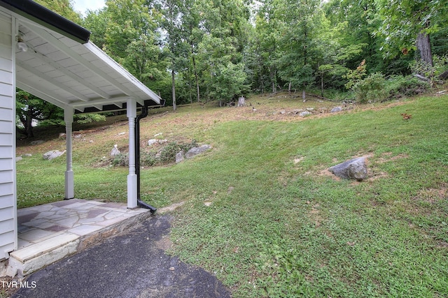 582 Coal Chute Rd, Elizabethton, TN 37643 - photo 29