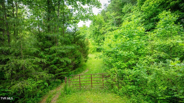 Listing photo 3 for TBD Lashay Ln, Bulls Gap TN 37711