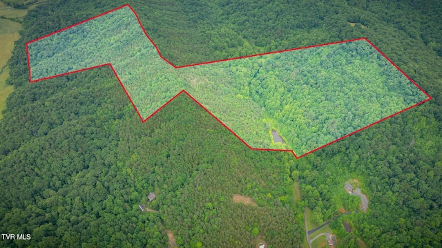 Tbd Lashay Lane, Bulls Gap, TN 37711 - photo 2